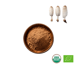 Suministro de Polvo de Hongo Coprinus <span class=keywords><strong>Comatus</strong></span>, Extracto de Coprinus <span class=keywords><strong>Comatus</strong></span> en Polvo, 10%-50% Polisacáridos - Product Image 3