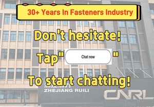 Ruili có thể điều chỉnh CAMBER Bolt <span class=keywords><strong>Kit</strong></span> phần hệ thống treo cam Assy vật liệu thép OEM 54640-3r000 cho Kia Hyundai 54559-2e000 - Product Image 6