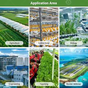 Contenedor de Envío para Cultivo Vertical Interior de 16 pies, Sistema Inteligente para Cultivo de Hongos, Máquina de Fabricación Agrícola, Motor Aeropónico/Acuapónico - Product Image 6