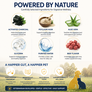 Complément avancé en gel de <span class=keywords><strong>charbon</strong></span> <span class=keywords><strong>actif</strong></span> pour animaux de compagnie, pour chats et chiens, soulagement des ballonnements, soutien digestif naturel - Product Image 3