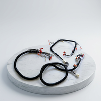 Kabel Harness Kustom OEM JST PH2.0 IP66 untuk Mobil, Motor & Komputer - Perakitan Kabel PVC/Tembaga Berlapis Timah IATF16949