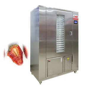 Endüstriyel profesyonel meyve gıda kurutucu makine için çilek muz