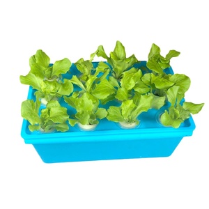 Petits kits de culture hydroponique écologiques en plastique PP, pots carrés à 12 trous, style ferme, pour <span class=keywords><strong>la</strong></span> maison <span class=keywords><strong>et</strong></span> <span class=keywords><strong>le</strong></span> jardin, intérieur/extérieur - Product Image 4