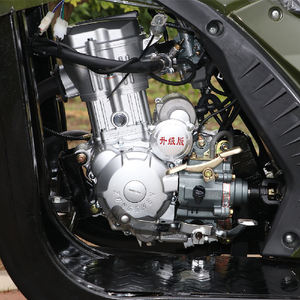 Triciclo Agrícola con Sidecar, Motor de Gasolina, Carrocería Abierta, Gran Capacidad de Carga para Uso Agrícola, Venta Caliente 2026 - Product Image 2