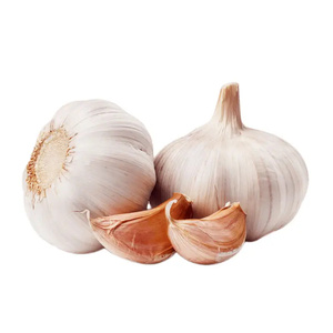 4.5cm 5.0cm 5.5cm 6.0cm tỏi tươi và hành tây ail <span class=keywords><strong>2025</strong></span> Trung Quốc nhà sản xuất tỏi trắng tươi - Product Image 4