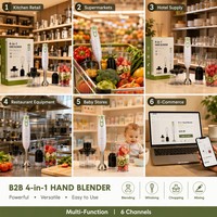 Mixeur Plongeant 4-en-1 avec Moteur en Cuivre Pur 400W, 2 Vitesses, Lame en Acier Inoxydable 304, Fouet, Hachoir, Bol, pour Aliments Bébé et Soupes