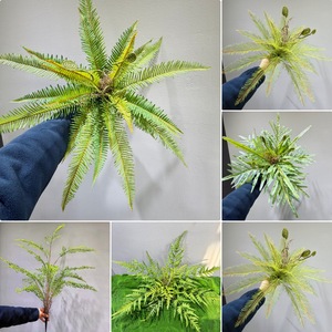 Plante de fougère artificielle Meng Jie 30cm-100cm en caoutchouc souple pour décoration intérieure et accessoires de photographie - Product Image 1