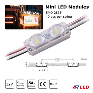 Mini Módulo LED de 12V SMD 2835 con 2 LEDs, Resistente al Agua IP66, con Lente de 180x140 Grados para Señalización con Profundidad de 3cm - Product Image 4