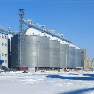 Maislager große Kapazität Maislager Silos Getreide-Silo für Kaffeebohnen