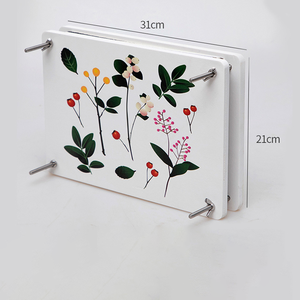 PUSELIFE Décoration d'intérieur DIY, fleurs et <span class=keywords><strong>feuilles</strong></span> d'<span class=keywords><strong>eucalyptus</strong></span> séchées pressées à la main pour la résine - Product Image 6
