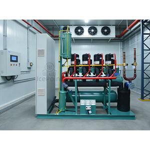 बड़े ठंडे कमरे प्रशीतन परियोजनाओं के लिए 100 टन समानांतर कंप्रेसर - Product Image 5