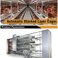 Équipement automatique en acier galvanisé pour poules pondeuses en batterie, cages pour poulets de ferme avicole, vente chaude
