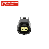 Connecteur de capteur étanche IP68 à 2 broches 174352-2 AMP TE 3A pour connexions électriques automobiles, injecteur de carburant
