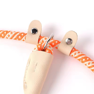 Correa y Collar para Perro en Varios Colores, Correa de Cuerda para Paseo y Entrenamiento al Aire Libre, Correas Resistentes para Perros, Accesorios para Perros - Product Image 5