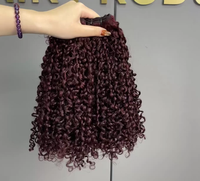 Extensions de cheveux humains Pixie Curl, mèches de cheveux vierges bruts, haute densité, texture naturelle douce, commande personnalisée