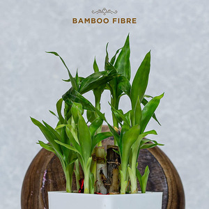 An toàn hữu cơ bông siêu mỏng phân hủy sinh học Băng vệ sinh rò rỉ bằng chứng và phát ban miễn phí băng vệ sinh dùng một lần - Product Image 4