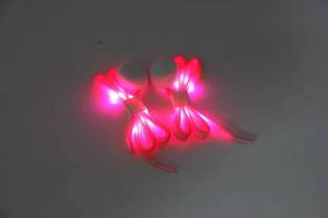 เชือกผูกรองเท้าเรืองแสง LED พร้อมลูกปัดไนลอนถักแบบมีไฟกระพริบและเรืองแสงในที่มืด ปรับแต่งโลโก้ได้สำหรับกิจกรรมกลางแจ้ง - Product Image 6