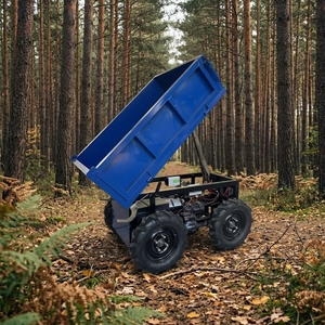 Mini-dumper hydraulique 500 kg <span class=keywords><strong>à</strong></span> 4 roues, <span class=keywords><strong>brouette</strong></span> électrique <span class=keywords><strong>à</strong></span> batterie pour ferme - Product Image 2