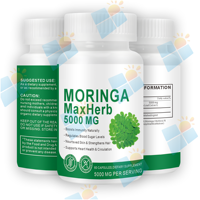 Capsules de poudre de feuilles de Moringa biologique à marque privée OEM/ODM pour hommes et femmes, soutien immunitaire, végétalien, service de vente en gros direct usine