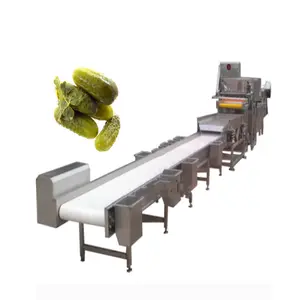 Usine Fournisseur cornichons au concombre faisant la machine