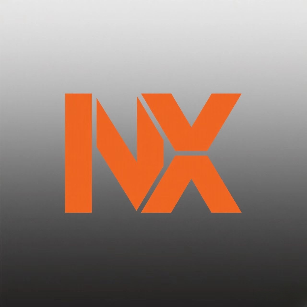Henan Nanxing E-Commerce Co., Ltd. logo