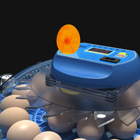 Incubadora de Huevos Totalmente Automática de 8 Huevos, Nuevo Modelo, Precio al por Mayor