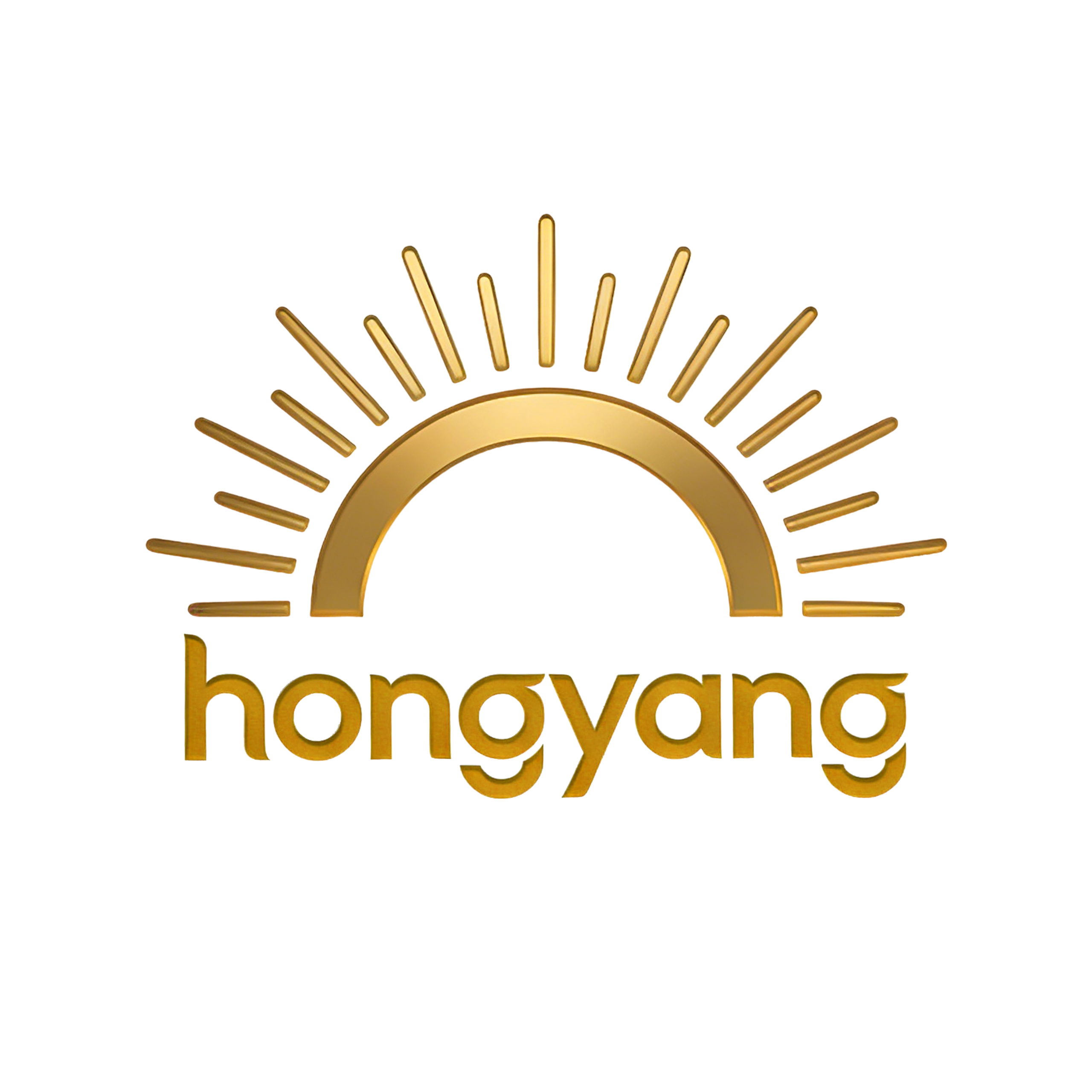 Dongguan Hongyang Jewelry Co., Ltd. logo