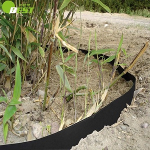 100% virginal <span class=keywords><strong>HDPE</strong></span> <span class=keywords><strong>geomembrane</strong></span> 1 mét Độ dày gốc rào cản cho tre kiểm soát gốc bảo vệ - Product Image 4