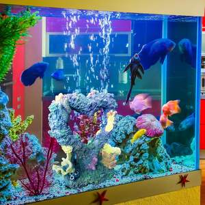 กล่องใส่น้ำแก้วใส่เกลือทะเลแบบมือโปรชุดใหญ่ใหญ่สำหรับใส่ปลาปะการังตู้ปลาปะการังปะการังเทียม - Product Image 6