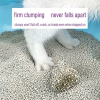Litière pour chat en bentonite non parfumée, agglomérante rapide, sans poussière, contrôle des odeurs, pour chats sensibles, vente en gros, directement de l'usine