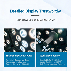 ไฟผ่าตัดแบบพกพา ไฟผ่าตัดทางทันตกรรม ไฟผ่าตัดแบบไร้เงา ไฟผ่าตัด LED ไฟผ่าตัดสำหรับสัตวแพทย์ - Product Image 6