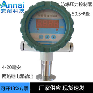 Controlador de Temperatura Inteligente con Pantalla Digital, Transmisor de Acero Inoxidable de 4-20 mA para Aplicaciones de Gas y Líquidos - Product Image 2