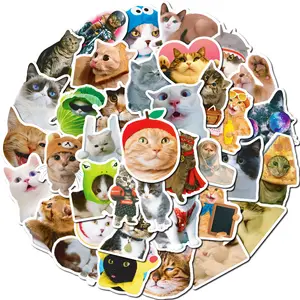 สติกเกอร์หน้าแมวตลก50ชิ้นสติกเกอร์ตกแต่งรูปสัตว์สกู๊ตเตอร์น่ารักแท็บเล็ตพีซีโทรศัพท์มือถือแบบทำมือ