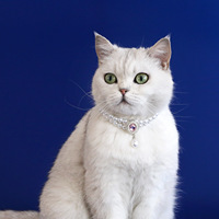 Nouveauté : Collier de luxe pour chat et chien, accessoires pour animaux de compagnie, tendance, multi-tailles, double couche, pendentif en perles et pierres précieuses