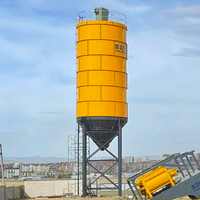 Silo à ciment de 100 tonnes, capacité de chargement de 75 mètres cubes de ciment, poids de 6 tonnes