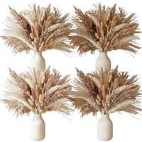 75-450pcs Rumput Pampas Kering Alami untuk Dekorasi Rumah, Pernikahan, Natal, Hari Valentine, Gaya Boho Farmhouse, Pengisi Bunga, Centerpieces