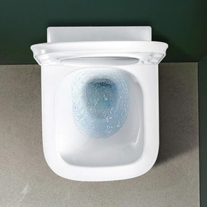 Ensemble WC Tornado couleur nature, WC <span class=keywords><strong>chic</strong></span>, WC Metro, Bidet, Nouveau WC, WC mat brillant, Sanitaire de boutique, <span class=keywords><strong>Commode</strong></span> de salle de bain - Product Image 6