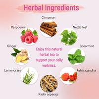 Té para el Útero Chinaherbs, Mezcla de Hierbas con Sabor a Menta Verde, para la Salud de la Fertilidad y el Equilibrio Hormonal, Vegano, Sin Gluten, Sin OMG, en Bolsitas, con Certificación GMP