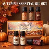 Ensemble d'huiles essentielles d'automne pour diffuseur d'ambiance 6x10ml Parfum d'automne