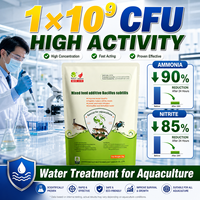 Poudre Probiotique Multifonctionnelle de Bacillus Subtilis pour l'Aquaculture, Nettoyage des Étangs, Détoxification de l'Eau, Additif Alimentaire