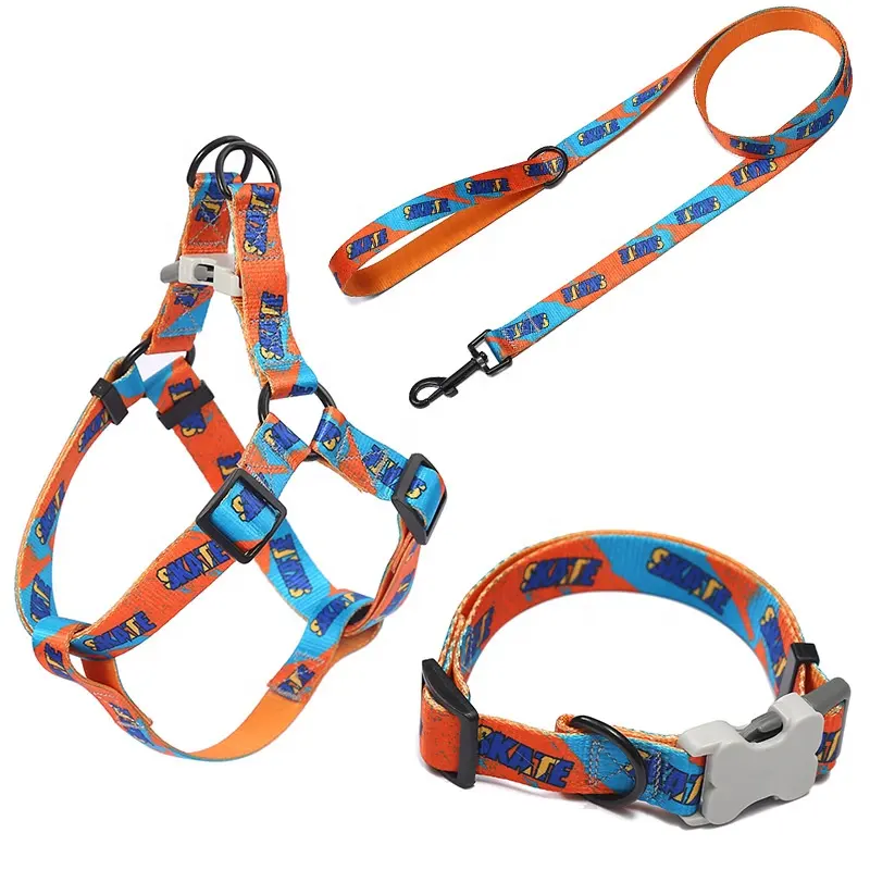 Harnais pour animal de compagnie, ensemble orange, pour chiens robuste, collier et laisse unique