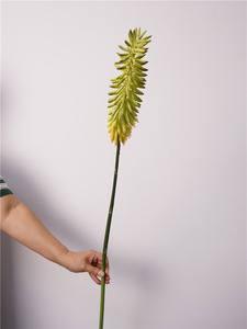 Fleur artificielle haut de gamme K40 en plastique souple au toucher tropical, type roseau queue de phénix, pour la décoration de vitrines d'hôtels et de magasins - Product Image 3