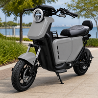 Motocicleta Eléctrica de Reparto con Motor de 1200W, Ruedas de 14 Pulgadas, Velocidad Máxima de 55 km/h, Autonomía de hasta 140 km, Asiento Doble para Adultos