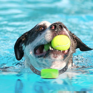 Collar de entrenamiento para perros, Correa recargable por USB, sin golpes - Product Image 2