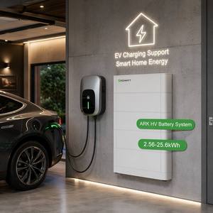 แบตเตอรี่ Growatt 51.2V 200Ah 10kWh LiFePO4 สำหรับระบบกักเก็บพลังงานแสงอาทิตย์ภายในบ้าน พร้อมการรับประกัน 10 ปี ป้องกันน้ำและฝุ่นระดับ IP65 ใช้งานได้ <span class=keywords><strong>6000</strong></span> รอบการชาร์จ - Product Image 1