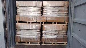 High Purity Polyanionic Cellulose Meeting International Standards Premium Polymer Product - Product Image 5