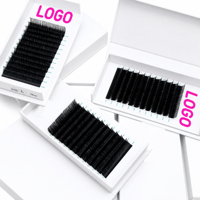 Extensions de cils volume effet naturel, bouquets pré-faits, plateaux de cils volume russe pour artistes en cils en salon