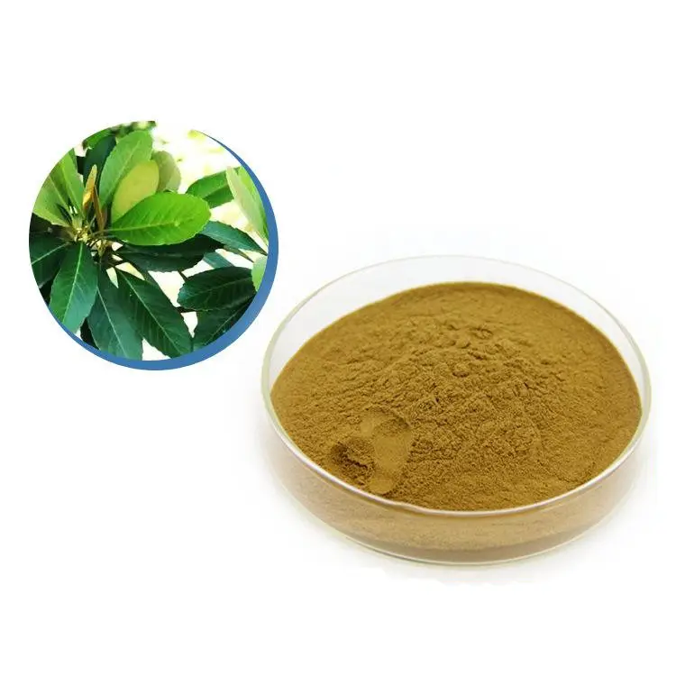 Groothandel Hoge Kwaliteit Chinese Plant Natuurlijke Loquat Leaf Loquat Leaf Extract