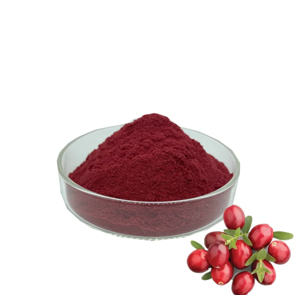 High Quality Cranberry juice powder Cranberry Fruit juice powder Cranberry Powder