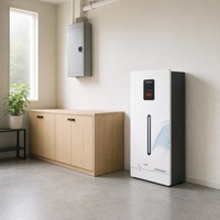 Batterie LiFePO4 16KWH 128KG IP54 étanche, pack direct usine, ESS résidentiel personnalisé pour les grossistes